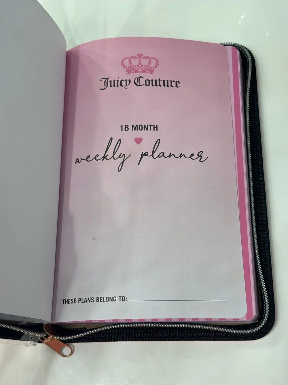 ✨NEW✨ Pink Juicy Couture 18 month Planner/ w Pen💖